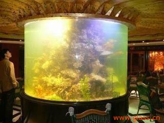 福州圓缸選購指南 價格、廠家與水族箱推薦
