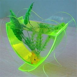 定制一方心水 亞克力心形魚缸的靈動(dòng)世界