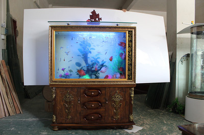 生態(tài)魚缸 方寸之間，構(gòu)筑流動(dòng)的生命藝術(shù)