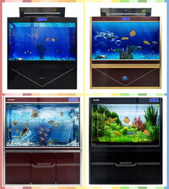 邯鄲水族箱批發(fā)市場(chǎng)全攻略 從入門到精通