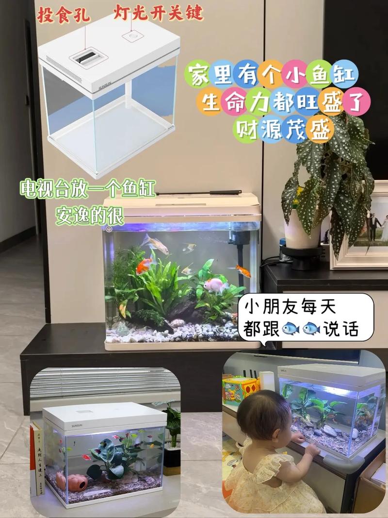 一方碧水間的自然盛宴 森森超白玻璃草缸生態(tài)魚缸的格調(diào)與魅力