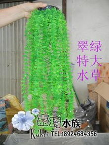 靈動水下桃源 生態假山助力水族箱打造夢幻魚樂世界